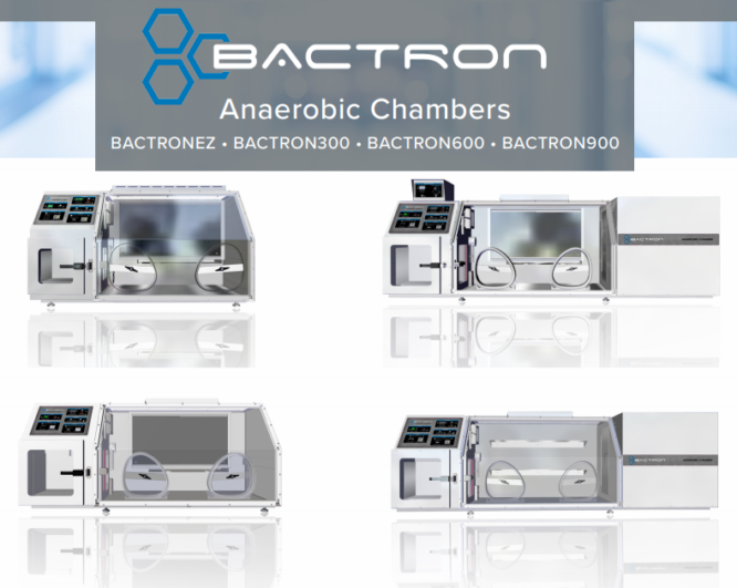 Anaerobic Chambers Shellab