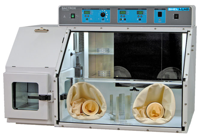 Tủ ủ vi khuẩn Hypoxia Bactrox Shellab